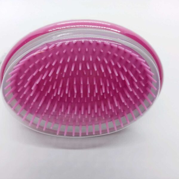 Holistic Scalp Brush